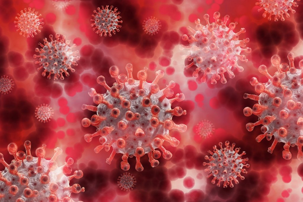 Epidemie koronaviru…
